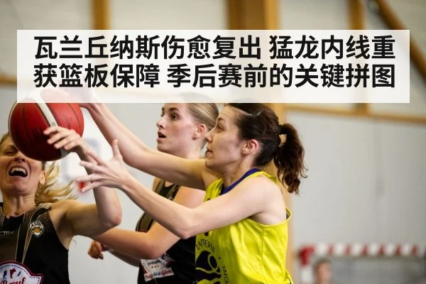 瓦兰丘纳斯伤愈复出 猛龙内线重获篮板保障 季后赛前的关键拼图